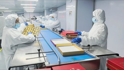 一句玩笑話，撬動瑞士蓮上海生產線 亞太首條食品產線落戶申城背后的故事
